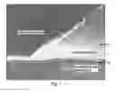 Fig. 08 - Multipurpose Laminated Stretch Fabric