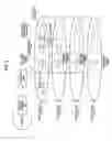 Fig. 08 - MOBILE COMMUNICATION SYSTEM AND NETWORK DEVICE