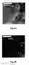 Fig. 09 - CARBON-BASED FOAM NANOCOMPOSITE HYDROGEN STORAGE MATERIAL