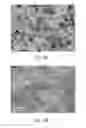 Fig. 09 - Nanostructured sorbent materials for capturing environmental mercury vapor