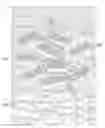 Fig. 01 - Methods to control fluid loss in a well bore