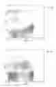 Fig. 06 - Use of Urea-Adjuvated Polypeptides for Diagnosis, Prophylaxis and Therapy