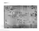 Fig. 02 - Ex vivo cell stimulation