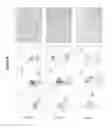Fig. 09 - METHODS TO REDUCE THE EFFECTS OF SLEEP DEPRIVATION