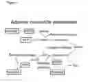 Fig. 02 - Methods and compositions for inhibiting progression to chronic cardiac failure