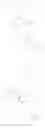 Fig. 265 - HSP90 INHIBITORS