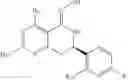 Fig. 97 - HSP90 INHIBITORS
