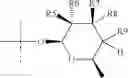 Fig. 06 - Macrolides and their use