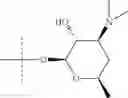 Fig. 08 - Macrolides and their use