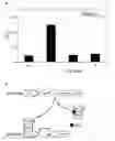 Fig. 07 - Composition for treatment of tuberculosis
