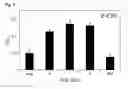 Fig. 09 - Composition for treatment of tuberculosis