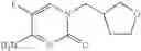 Fig. 44 - 5-fluoropyrimidinone derivatives