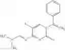 Fig. 68 - 5-fluoropyrimidinone derivatives