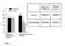 Fig. 02 - Use of mitochondrially-addressed compounds for preventing and treating cardiovascular diseases