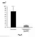 Fig. 09 - Use of mitochondrially-addressed compounds for preventing and treating cardiovascular diseases