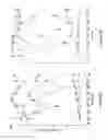 Fig. 07 - Methods and Therapies for Alleviating Pain