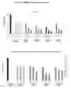 Fig. 02 - Compounds and compositions for treating cancer