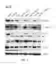 Fig. 09 - Small molecule E2F inhibitor