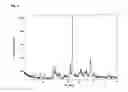 Fig. 04 -  Salts and Crystal Forms