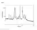 Fig. 134 -  Salts and Crystal Forms