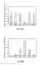 Fig. 09 - REGULATION OF ONCOGENES BY MICRORNAS