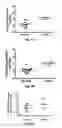 Fig. 06 - MicroRNA-Based Methods and Compositions for the Diagnosis, Prognosis and Treatment of Prostate Related Disorders