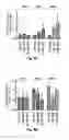 Fig. 10 - MicroRNA-Based Methods and Compositions for the Diagnosis, Prognosis and Treatment of Prostate Related Disorders