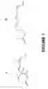 Fig. 02 - METHODS OF USING ABSCISIC ACID FOR AMELIORATING HYPERTENSION AND VASCULAR INFLAMMATION