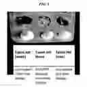 Fig. 04 - CNS pharmaceutical compositions and methods of use