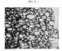 Fig. 04 - Polyurethane foam composition and polyurethane foam prepared using same