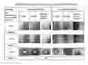 Fig. 01 - CURABLE COMPOSITION AND USE THEREOF