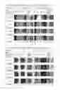 Fig. 03 - CURABLE COMPOSITION AND USE THEREOF