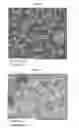Fig. 06 - Hydraulic cements comprising carbonate compound compositions