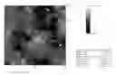 Fig. 01 - Treatments and kits for creating transparent renewable surface protective coatings