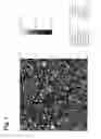 Fig. 04 - Treatments and kits for creating transparent renewable surface protective coatings