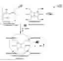 Fig. 01 - Processable inorganic and organic polymer formulations, methods of production and uses thereof