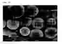 Fig. 02 - Silica magnetic particles having a spherical form and a process for preparing the same