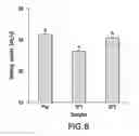 Fig. 07 - Sulfated psyllium derivative for reducing the risk of chronic human diseases and method for preparing the same