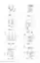 Fig. 02 - FOAM PORT INTRODUCER