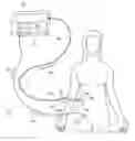 Fig. 01 - Systems and methods for Intra-operative semi-quantitative threshold neural response testing related applications