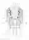 Fig. 05 - Instrument for applying vibrations to the human body