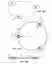 Fig. 40 - Craniotomy closures and plugs