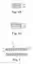 Fig. 04 - Polyisobutylene urethane, urea and urethane/urea copolymers and medical leads containing the same
