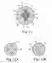 Fig. 08 - Polyisobutylene urethane, urea and urethane/urea copolymers and medical leads containing the same