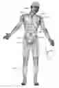Fig. 01 - Shielded network for an active medical device implantable lead
