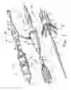 Fig. 02 - Prosthesis deployment system