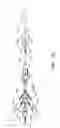 Fig. 40 - APPARATUS AND METHOD OF PLACEMENT OF A GRAFT OR GRAFT SYSTEM