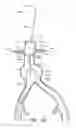 Fig. 45 - APPARATUS AND METHOD OF PLACEMENT OF A GRAFT OR GRAFT SYSTEM