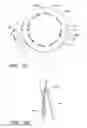 Fig. 51 - APPARATUS AND METHOD OF PLACEMENT OF A GRAFT OR GRAFT SYSTEM
