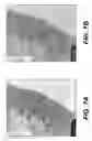 Fig. 08 - Vascular grafts derived from acellular tissue matrices